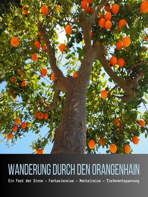 cover image of Wanderung durch den Orangenhain
